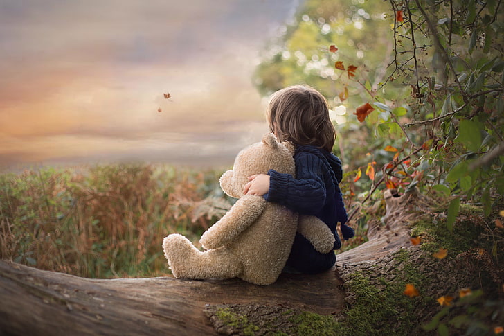 autumn, nature, toy, boy, bear, log, child, Teddy bear