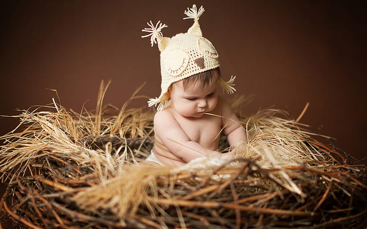 Cute baby sitting on the nest, HD wallpaper