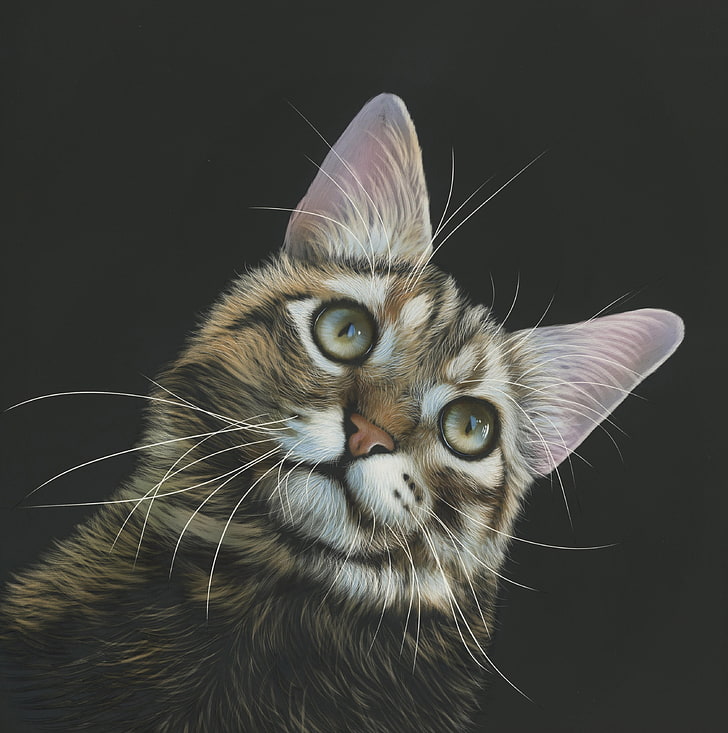 cat, painting, animals, 4k, hd, animal themes, one animal, feline, HD wallpaper