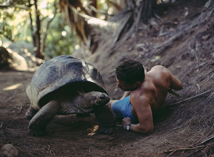 turtle, guy, David Olkarny, That was a big discussion, HD wallpaper