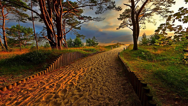 1920x1080 px nature sand sky Trees Cars Audi HD Art, plant, direction