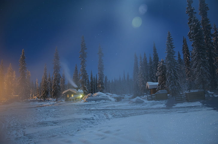 winter, snow, trees, night, Sweden, village, Lapland, Kiruna