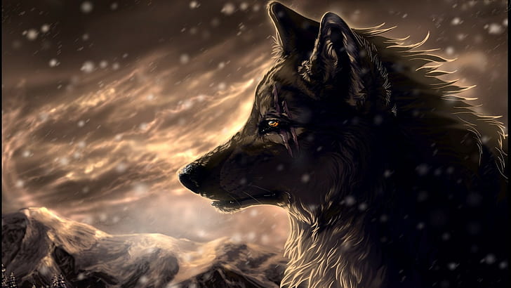 wolf, scars, digital art, HD wallpaper