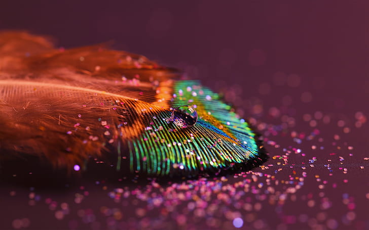 HD wallpaper: peacock feather 4k best picture ever | Wallpaper Flare