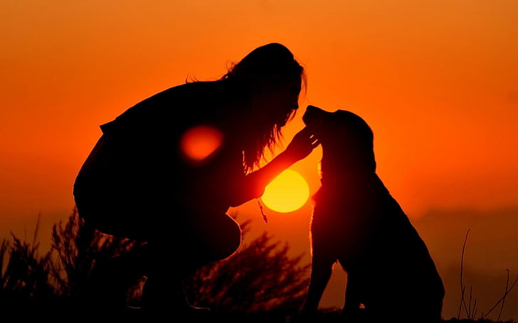 woman holding dog silhouette photo, girl, light, shadow, sunset, HD wallpaper