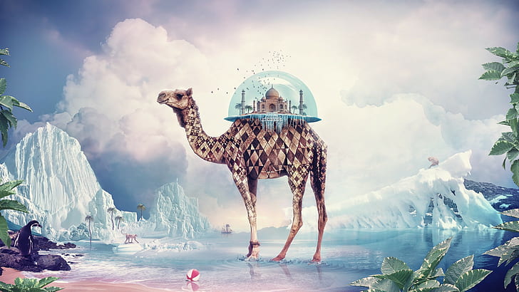 HD wallpaper: Artistic, Psychedelic, Animal, Camel, Fantasy | Wallpaper  Flare