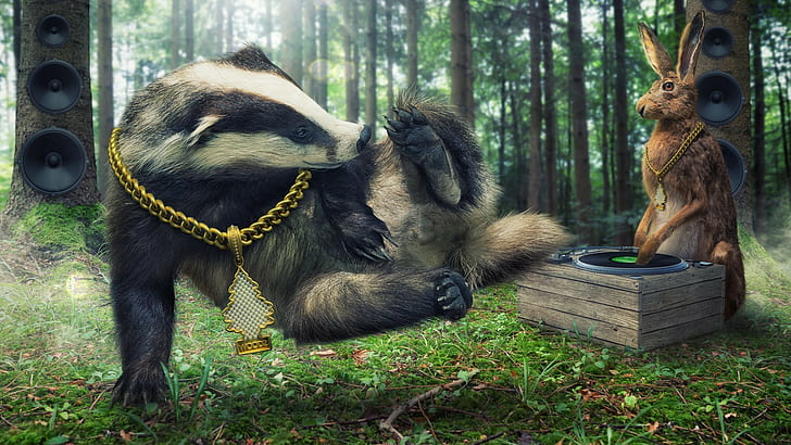Forest, Rabbits, Badger, Chains, Speakers, Gramophone, Humor, HD wallpaper