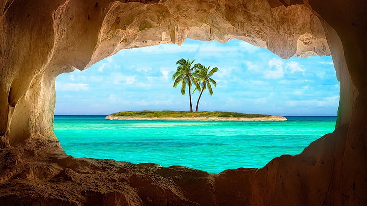 coconut tree, island, Caribbean, cave, water, sea, beauty in nature