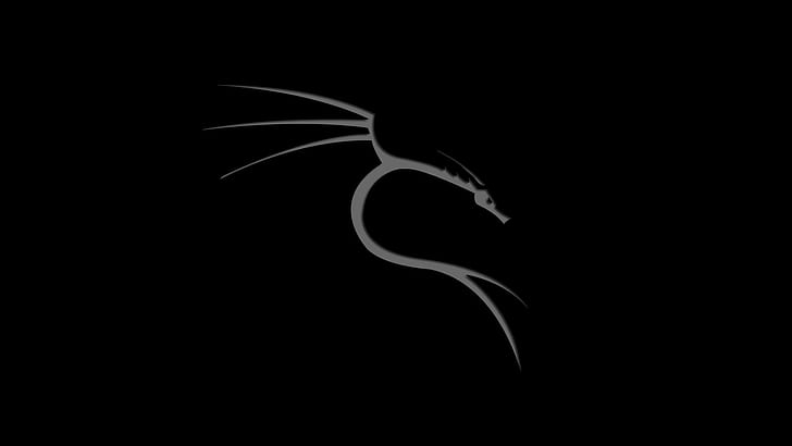 Kali Linux HD Wallpapers, 1000+ Free Kali Linux Wallpaper Images For All  Devices