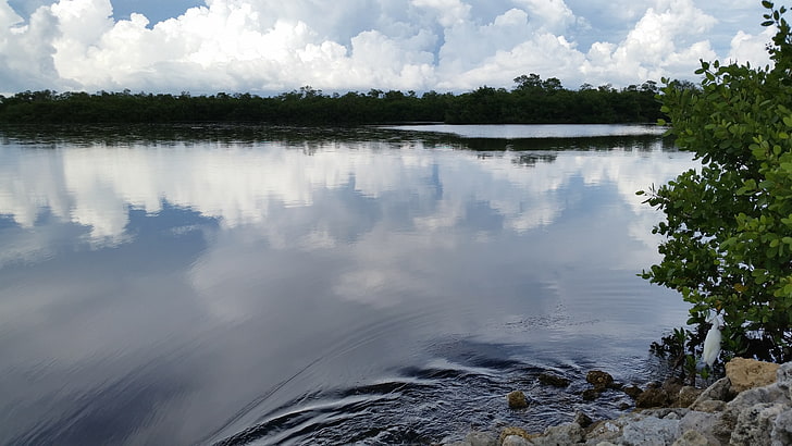 trees, lake, water, Florida, rock, reflection, cloud - sky, HD wallpaper