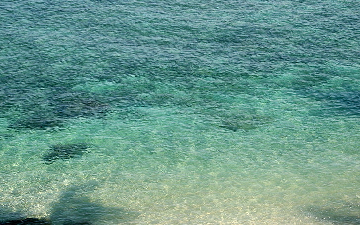 green and white area rug, beach, photography, nature, water, sea