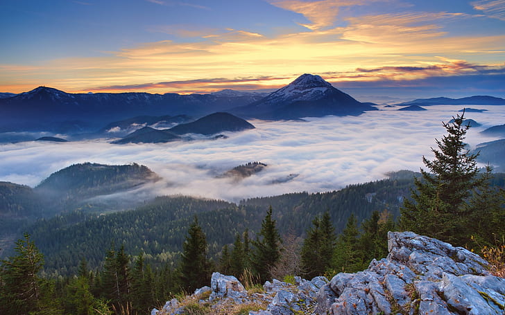 nature, landscape, forest, mountains, clouds, snowy peak, mist, HD wallpaper