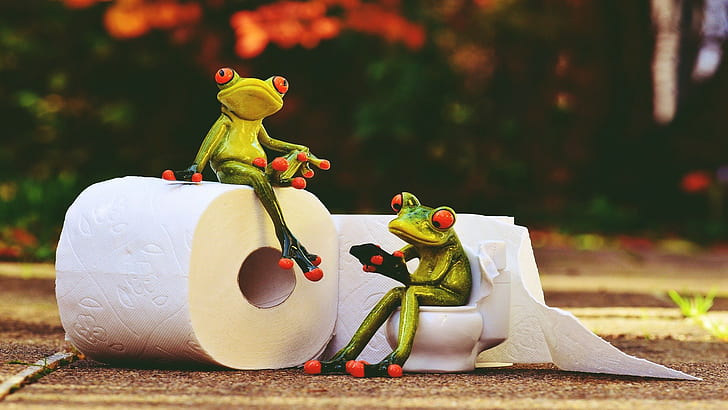 Retro style, frog, toilet paper, animals, HD wallpaper