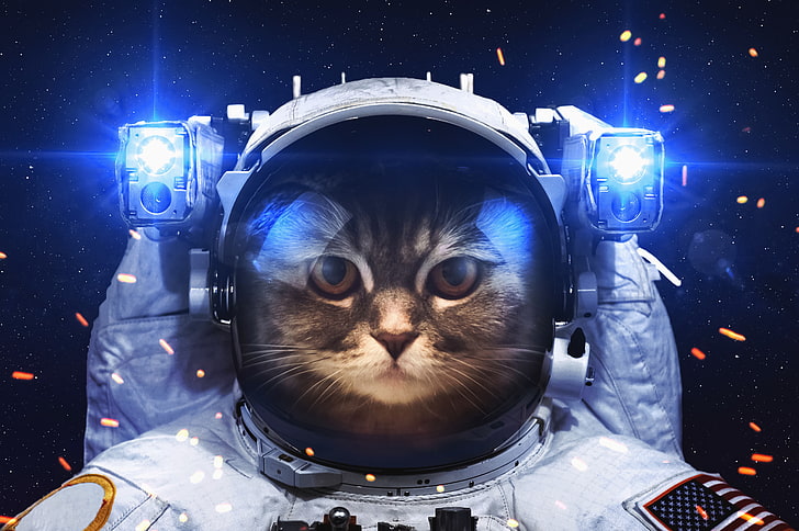 brown tabby cat, astronaut, space, animal themes, one animal, HD wallpaper