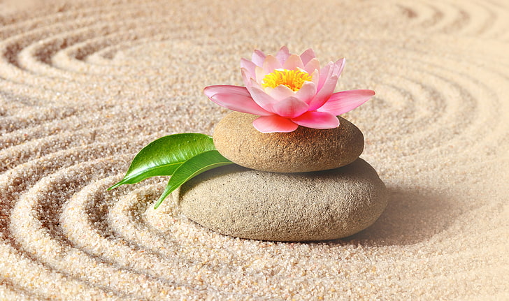 sand, flower, stones, Lotus, pink, Spa, zen, flowering plant, HD wallpaper