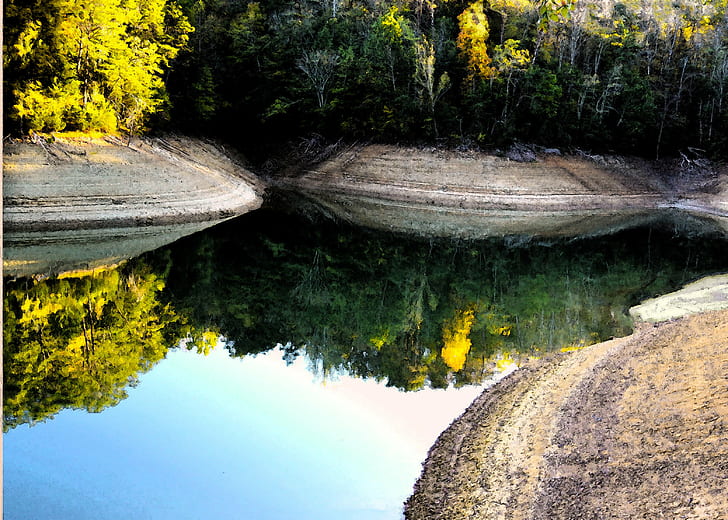 river beside trees at daytime, Douglas Lake, low water, copy HD wallpaper