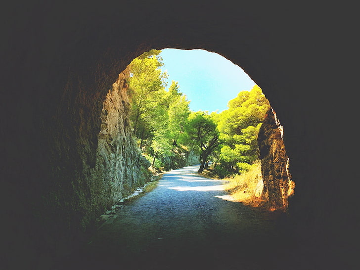 green leaf trees photo, nature, landscape, tunnel, path, rock, HD wallpaper