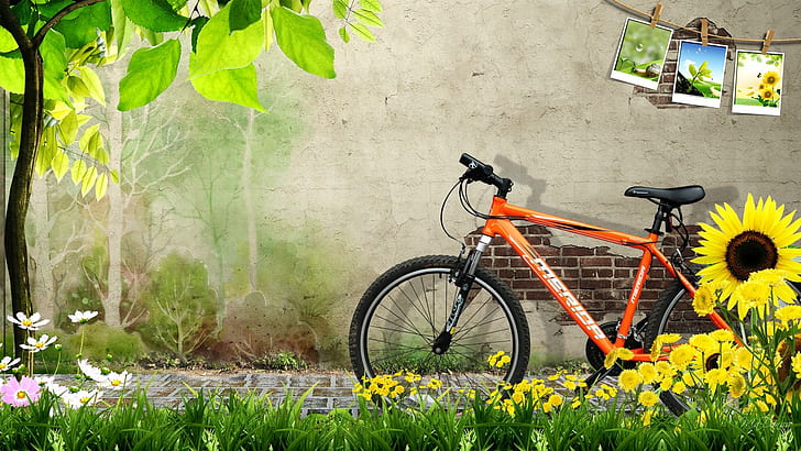 Spring Ride, brick, bike, bicycle, photos, nature, grass, wall, HD wallpaper