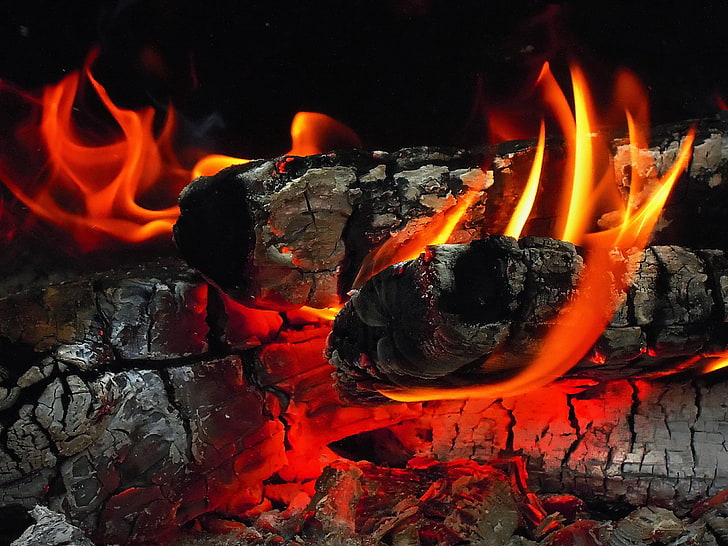 burning charcoal, fire, wood, orange, black, red, Coal (Minerals)