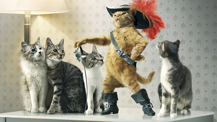 several cats, creativity, Puss in Boots, mammal, pets, animal themes, HD wallpaper