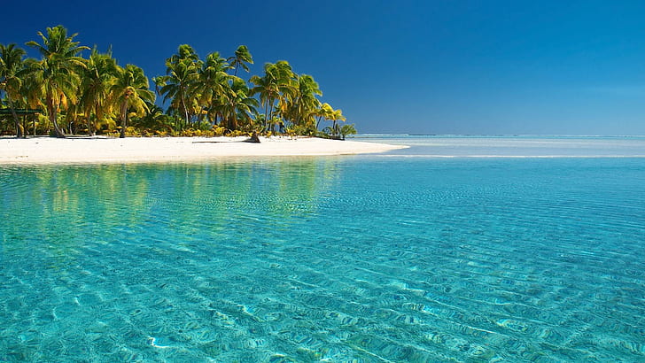 Tropical White Beach & Crystal Clear Water, blue sea; white sand; green coconut tree
