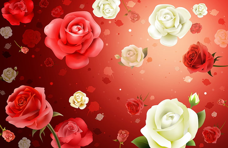 HD wallpaper: red and white roses vector art, flowers, background, texture  | Wallpaper Flare
