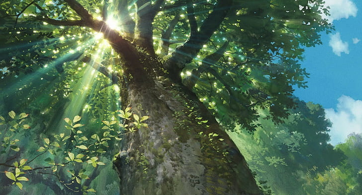nature sunlight trees sun rays worms eye view studio ghibli karigurashi no arrietty, HD wallpaper