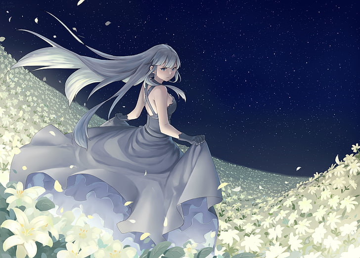 HD wallpaper: anime girl, dress, flowers, night, stars, long hair, moon,  petals | Wallpaper Flare