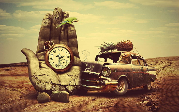 black sedan, car, old car, hands, clocks, birds, parrot, cat, HD wallpaper