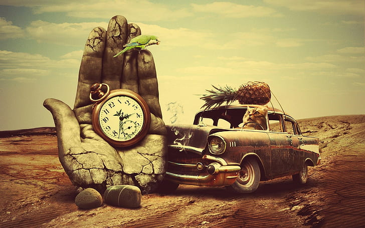 Car, Old Cars, Hand, Clocks, Bird, Parrot, Cat, Pineapples, Desert, Animals, Surreal, Stones, Rock, Fruit, HD wallpaper