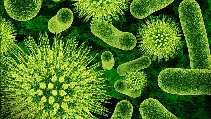 Viruses and bacteria close-up, green