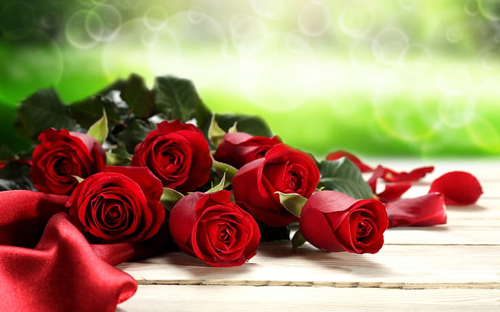 Red Roses Valentines Day background, HD wallpaper