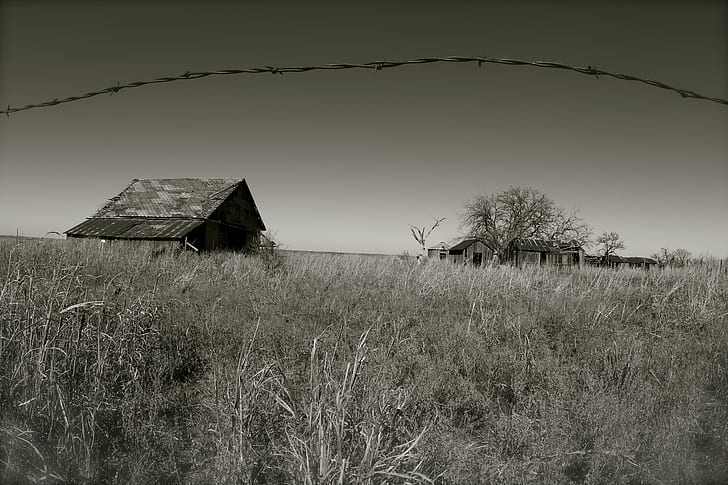 grayscale photography of green field and house, abandoned, rural Scene