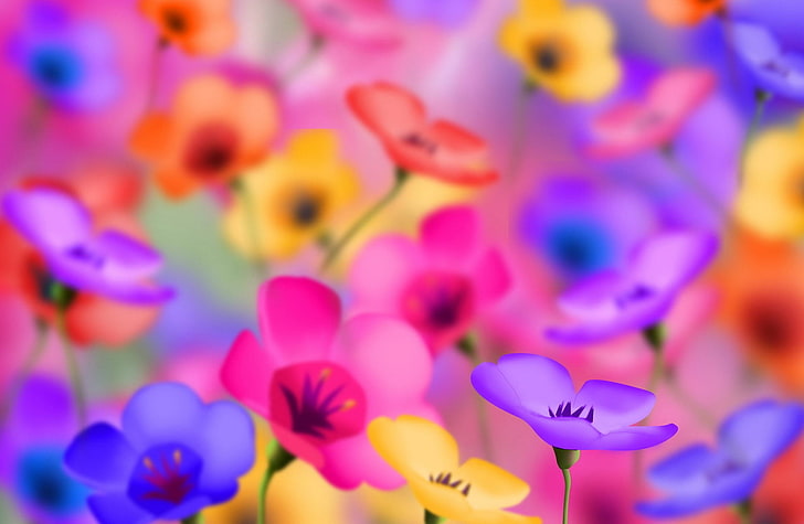 assorted-color flowers, colorful, bright, positive, multi Colored, HD wallpaper