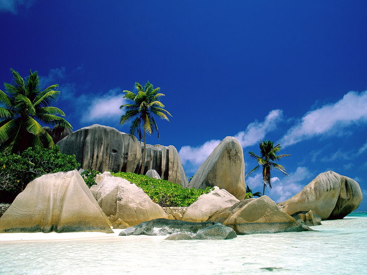 La Digue Islands, tree, tropical climate, water, sky, scenics - nature, HD wallpaper