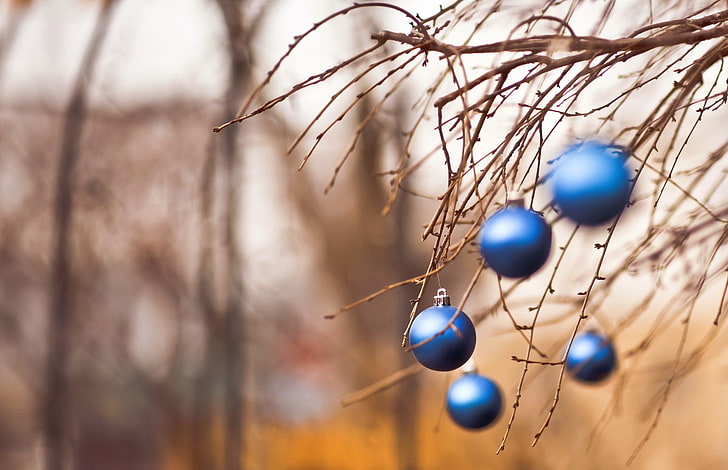 macro, Christmas ornaments, branch, focus on foreground, no people