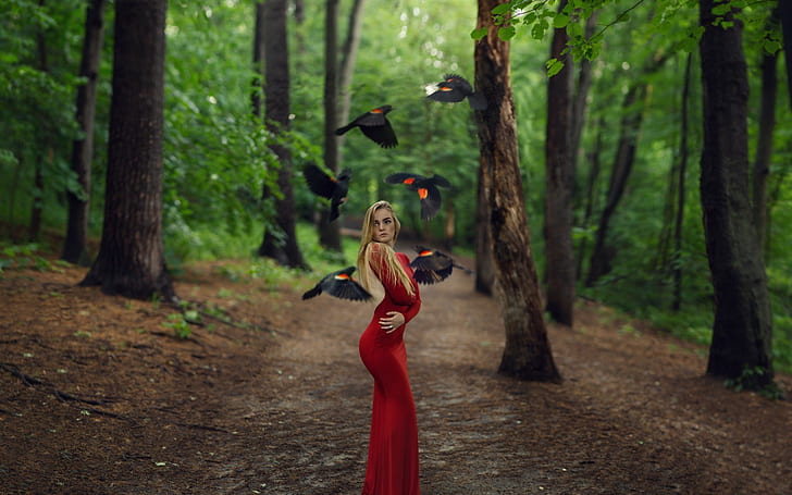 Women, Women Outdoors, Blonde, Depth Of Field, Red Dress, Long Hair, Bird, Forest, women's red long-sleeve bodycon dress