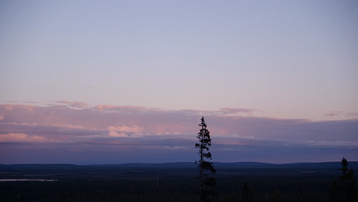silhouette of tree, Finland, forest, landscape, nature, sky, sunset