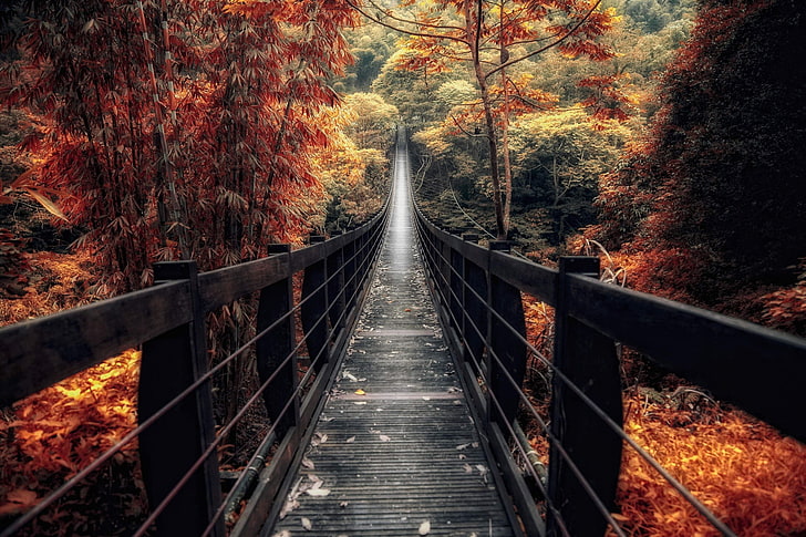black wooden bridge, brown wooden bridge towards green trees