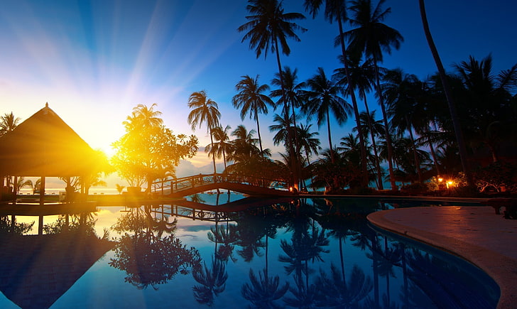 blue swimming pool, water, sunlight, reflection, palm trees, sky