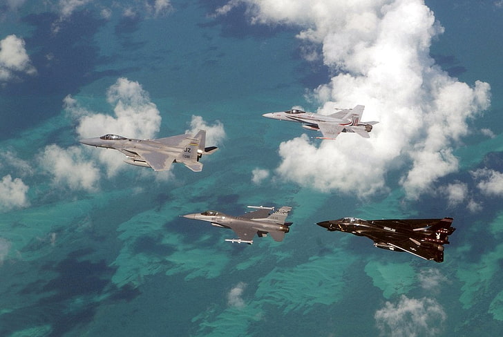 black and three gray aircrafts, Jet Fighters, F-16, F-18, Grumman F-14 Tomcat