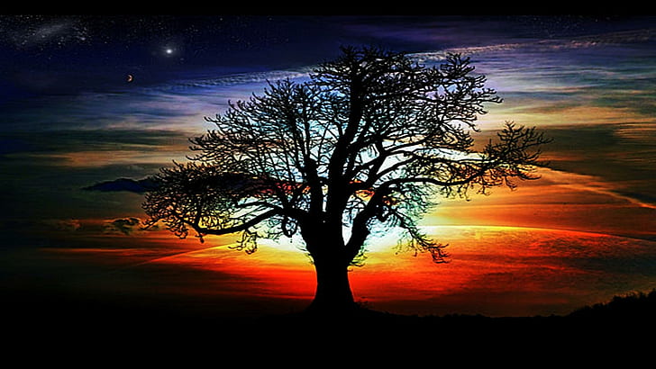 Again, silhouette painting of tree, lovely, colorful, amazing, HD wallpaper