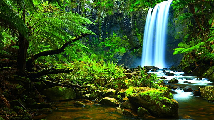 HD wallpaper: waterfall, amazon, nature, body of water, rainforest,  watercourse | Wallpaper Flare