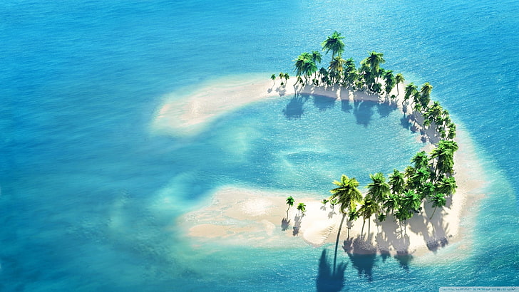 green coconut trees, island, water, palm trees, sea, nature, beach, HD wallpaper