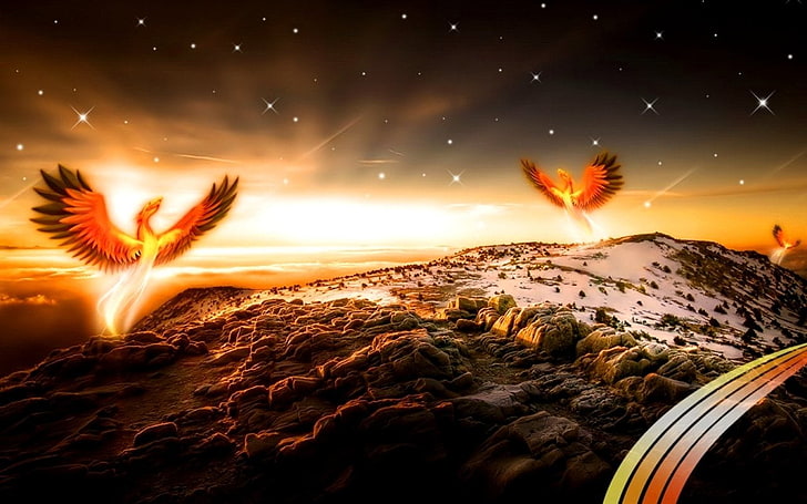 two phoenix digital wallpaper, Fantasy Animals, Bird, Fenix, beauty in nature
