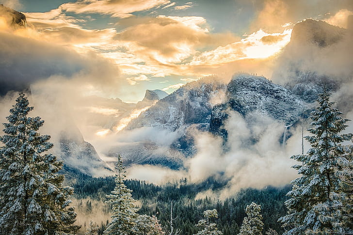 Yosemite National Park, green pine trees, California, Sierra Nevada mountains, HD wallpaper