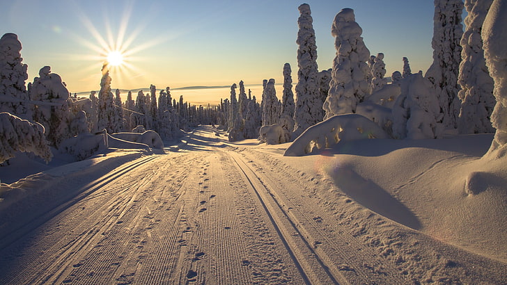 landscape, europe, finland, winter wonderland, lapland, ice