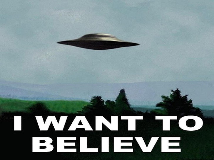 I want to believe text, Humor, Funny, UFO, tree, no people, flying, HD wallpaper
