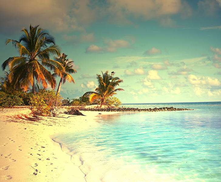 Tropical paradise ocean, white sand beach, palms, Sea, sunshine, HD wallpaper