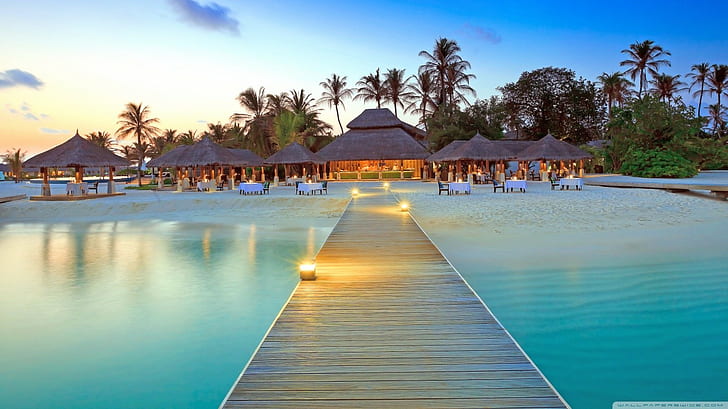 hotel, resort, tropical, pier, palm trees, beach, restaurant, HD wallpaper